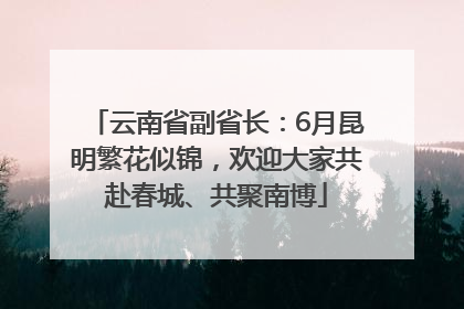 云南省副省长：6月昆明繁花似锦，欢迎大家共赴春城、共聚南博