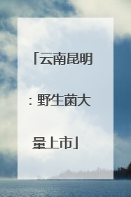 云南昆明：野生菌大量上市