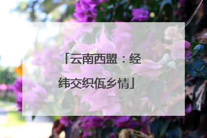 云南西盟：经纬交织佤乡情