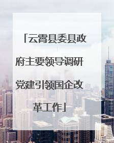 云霄县委县政府主要领导调研党建引领国企改革工作