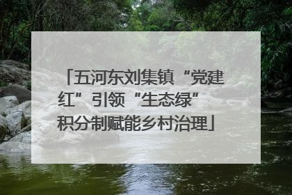 五河东刘集镇“党建红”引领“生态绿” 积分制赋能乡村治理