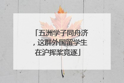 五洲学子同舟济，这群外国留学生在沪挥桨竞逐