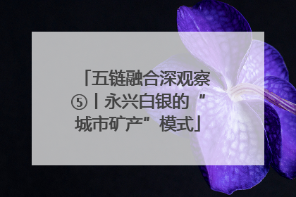 五链融合深观察⑤丨永兴白银的“城市矿产”模式