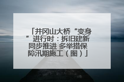 井冈山大桥“变身”进行时：拆旧建新同步推进 多举措保障汛期施工（图）