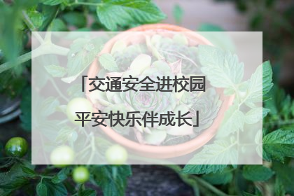 交通安全进校园 平安快乐伴成长