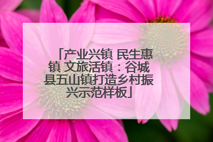 产业兴镇 民生惠镇 文旅活镇：谷城县五山镇打造乡村振兴示范样板
