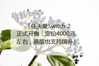 任天堂Switch 2正式开售：定价4000元左右，港版也支持国补