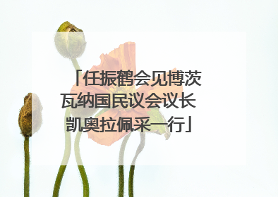 任振鹤会见博茨瓦纳国民议会议长凯奥拉佩采一行