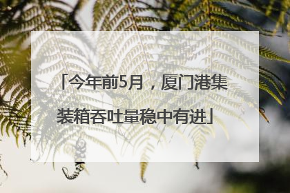 今年前5月，厦门港集装箱吞吐量稳中有进