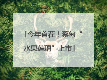 今年首茬！蔡甸“水果莲藕”上市