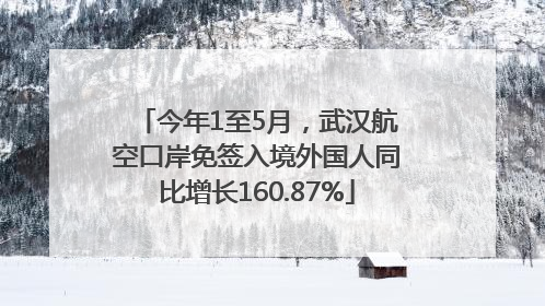 今年1至5月，武汉航空口岸免签入境外国人同比增长160.87%