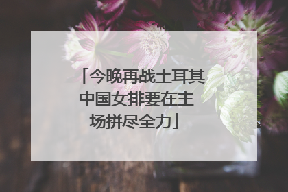 今晚再战土耳其 中国女排要在主场拼尽全力