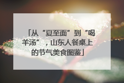 从“夏至面”到“喝羊汤”，山东人餐桌上的节气美食图鉴