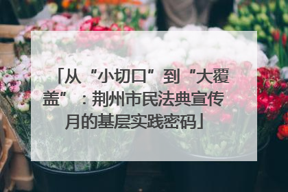 从“小切口”到“大覆盖”：荆州市民法典宣传月的基层实践密码