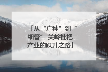 从“广种”到“细管” 关岭枇杷产业的跃升之路