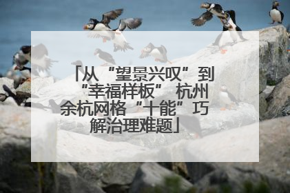 从“望景兴叹”到“幸福样板” 杭州余杭网格“十能”巧解治理难题