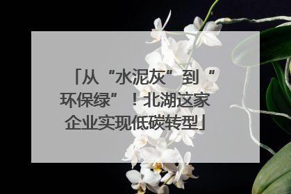 从“水泥灰”到“环保绿”！北湖这家企业实现低碳转型