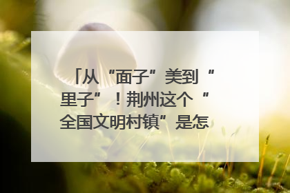 从“面子”美到“里子”！荆州这个“全国文明村镇”是怎样炼成的？