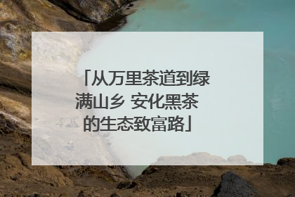 从万里茶道到绿满山乡 安化黑茶的生态致富路
