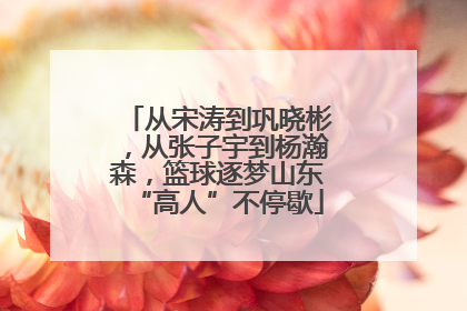 从宋涛到巩晓彬，从张子宇到杨瀚森，篮球逐梦山东“高人”不停歇