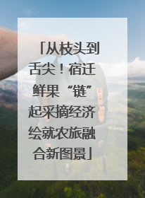 从枝头到舌尖！宿迁鲜果“链”起采摘经济绘就农旅融合新图景