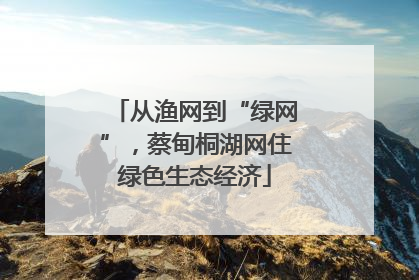 从渔网到“绿网”，蔡甸桐湖网住绿色生态经济