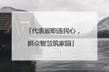 代表履职连民心，群众智慧筑家园