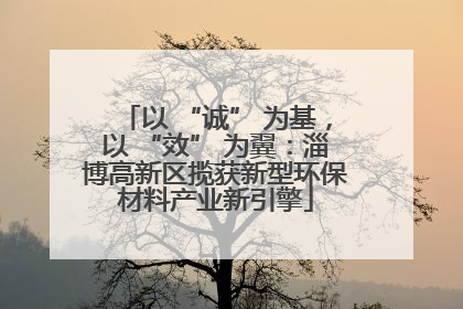 以 “诚” 为基，以 “效” 为翼：淄博高新区揽获新型环保材料产业新引擎