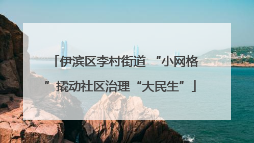 伊滨区李村街道 “小网格”撬动社区治理“大民生”