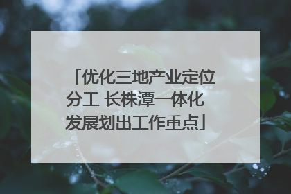 优化三地产业定位分工 长株潭一体化发展划出工作重点