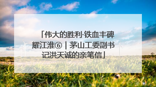 伟大的胜利·铁血丰碑耀江淮⑥｜茅山工委副书记洪天诚的亲笔信