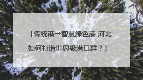 传统港→智慧绿色港 河北如何打造世界级港口群？