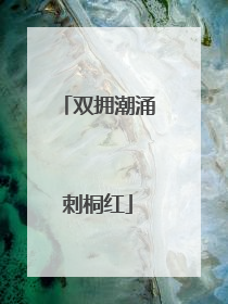 双拥潮涌刺桐红