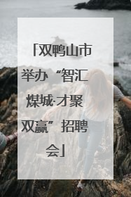 双鸭山市举办“智汇煤城·才聚双赢”招聘会