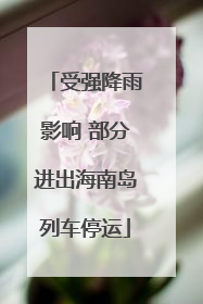 受强降雨影响 部分进出海南岛列车停运