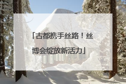 古都携手丝路！丝博会绽放新活力