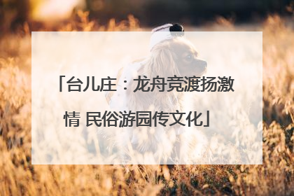 台儿庄：龙舟竞渡扬激情 民俗游园传文化