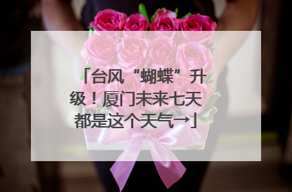 台风“蝴蝶”升级！厦门未来七天都是这个天气→