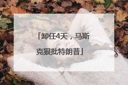 卸任4天，马斯克狠批特朗普