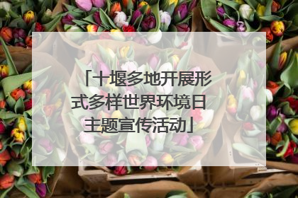 十堰多地开展形式多样世界环境日主题宣传活动