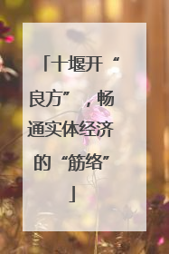 十堰开“良方”，畅通实体经济的“筋络”