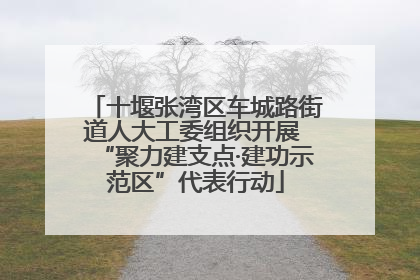 十堰张湾区车城路街道人大工委组织开展 “聚力建支点·建功示范区”代表行动