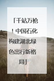 千站万枪！中国石化构建湖北绿色出行新格局