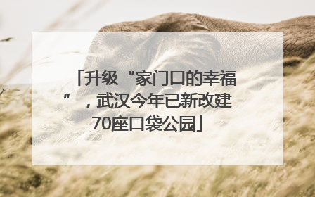 升级“家门口的幸福”，武汉今年已新改建70座口袋公园