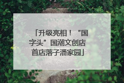 升级亮相！“国字头”国潮文创店首店落子潘家园