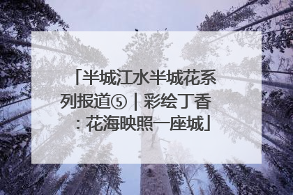 半城江水半城花系列报道⑤｜彩绘丁香：花海映照一座城