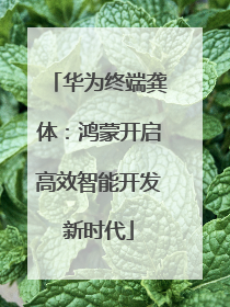 华为终端龚体：鸿蒙开启高效智能开发新时代