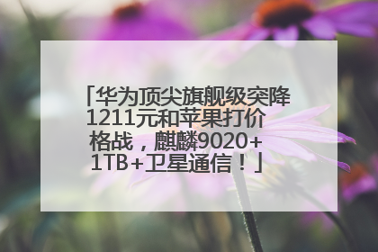 华为顶尖旗舰级突降1211元和苹果打价格战，麒麟9020+1TB+卫星通信！