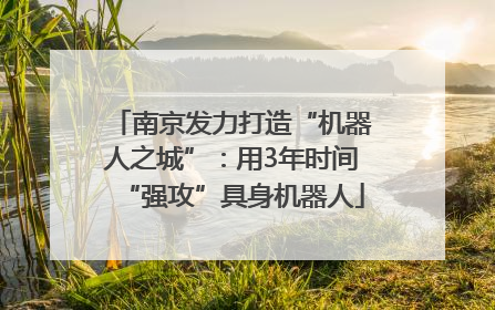 南京发力打造“机器人之城”：用3年时间“强攻”具身机器人