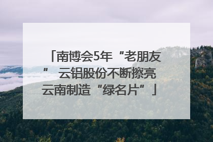 南博会5年“老朋友” 云铝股份不断擦亮云南制造“绿名片”